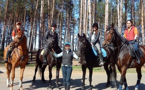 Коттеджный поселок «Павловы Родники» Коттеджный поселок «Павловы Родники»